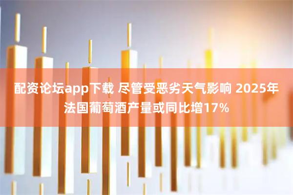 配资论坛app下载 尽管受恶劣天气影响 2025年法国葡萄酒产量或同比增17%